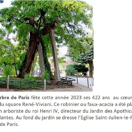 Lovely Studio Notre Dame Parijs